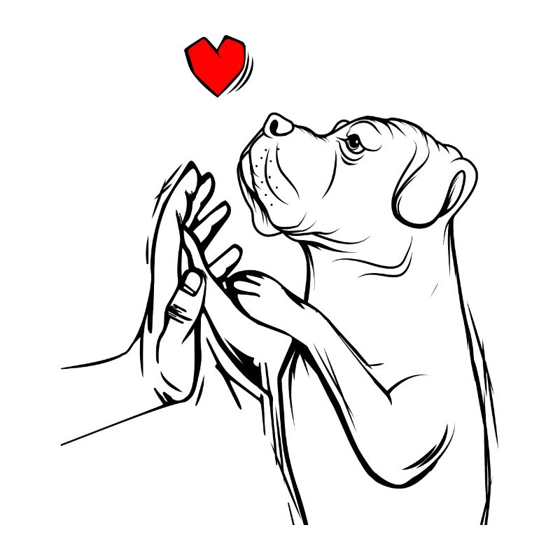 Cane corso