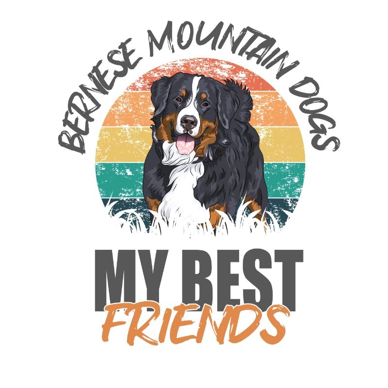 Bernese Mountain Dog