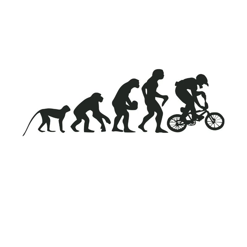 Evolution BMX