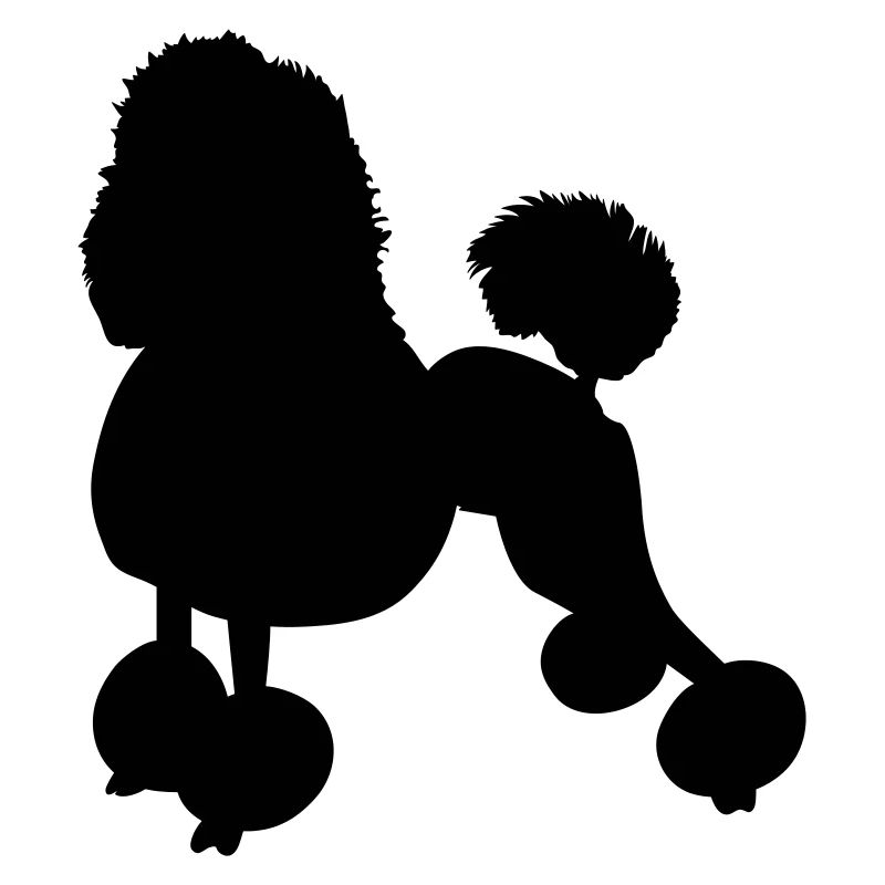 poodle