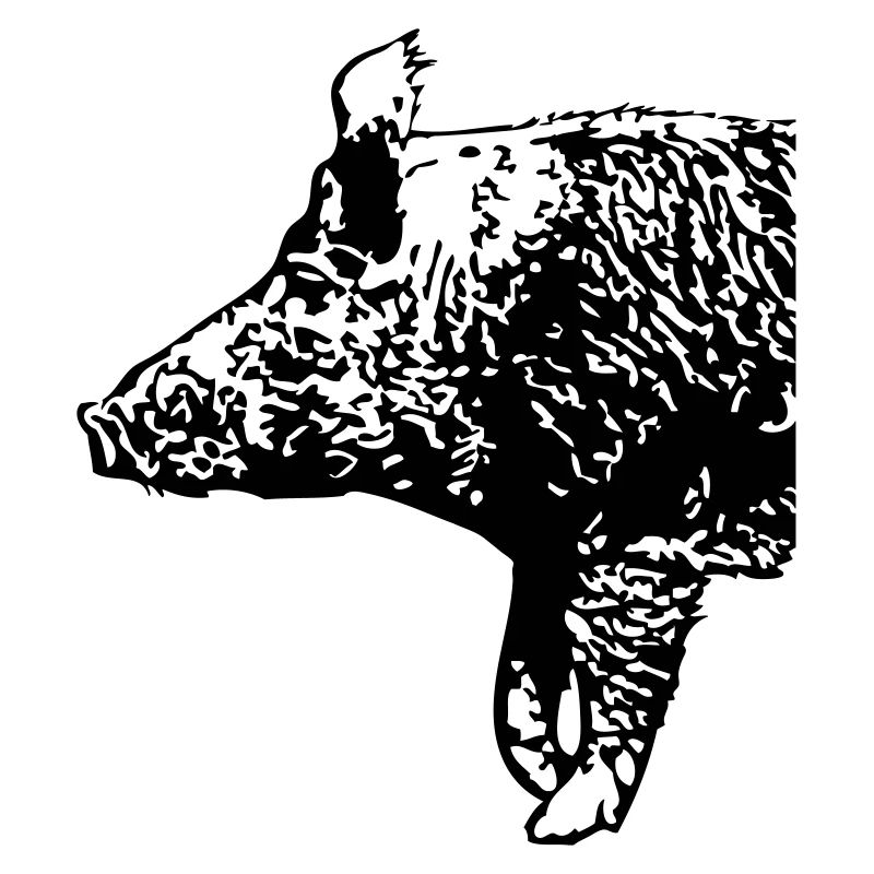 Wild Boar