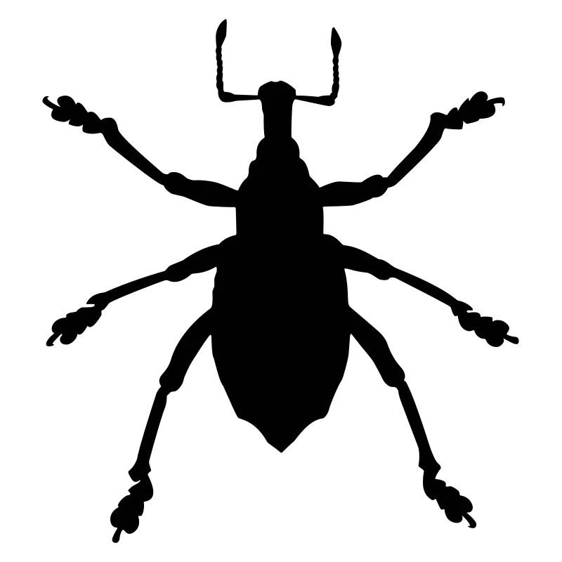 Rüsselkäfer Eupholus Insekt Farbe wählbar Vektor