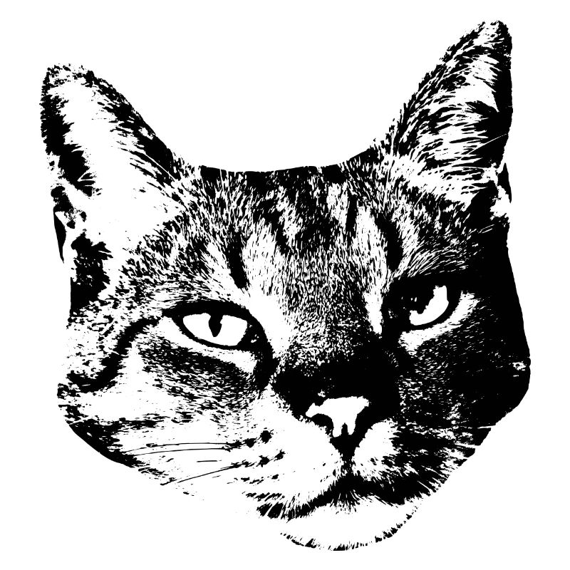 Chat Chat Chat Chat Chemise Cadeau