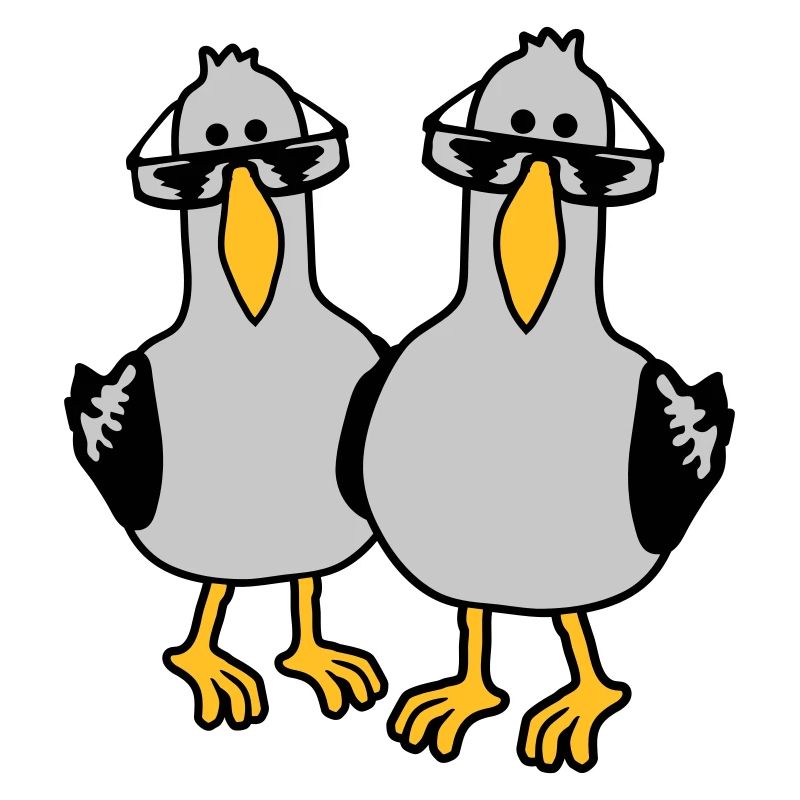2 Seagull Friends Team