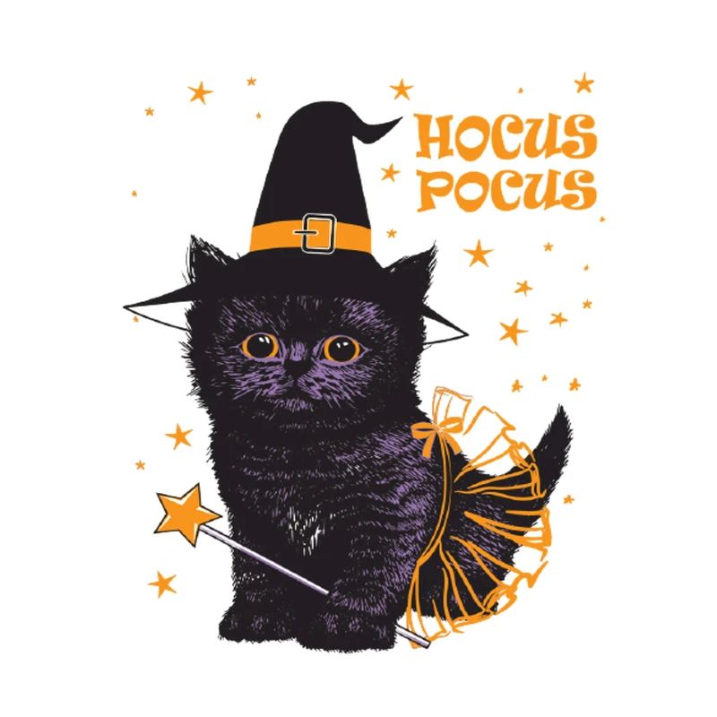 Hocus Pocus Chat Sorcière Mignon