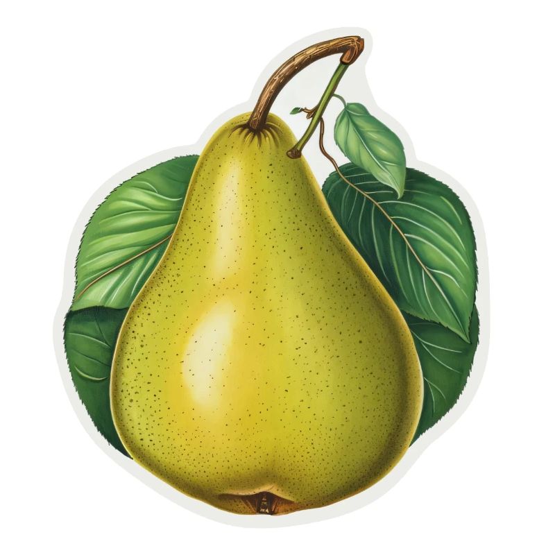 Pear with multiple leaves