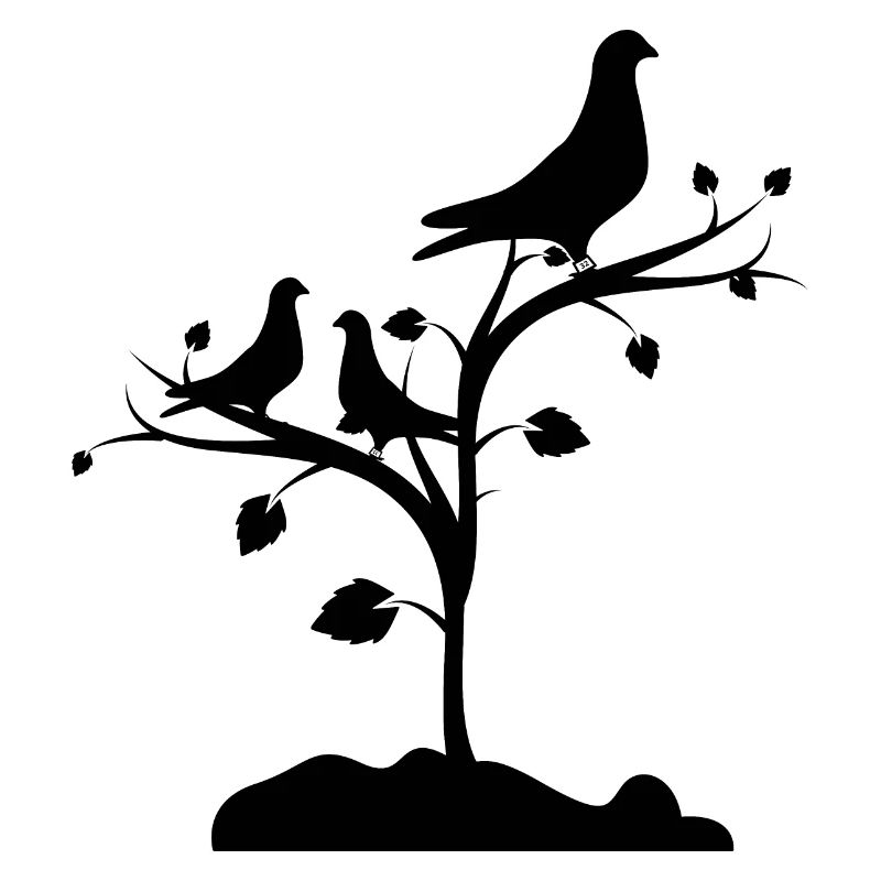 Doves