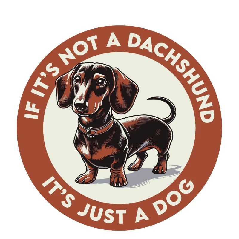 Si ce n’est pas un teckel, ce n’est qu’un chien