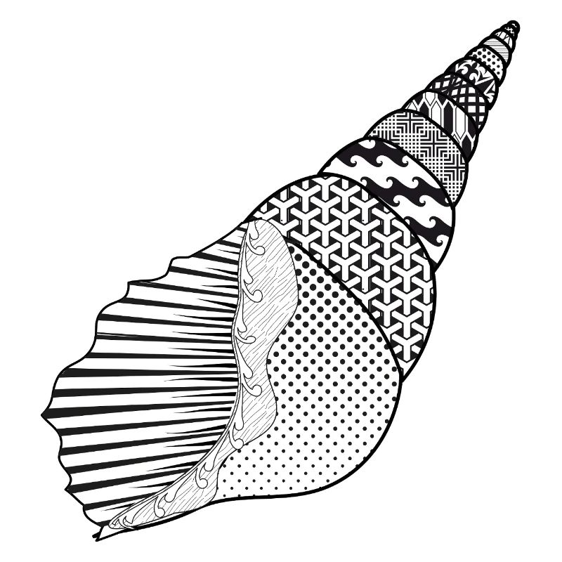Sea Snail with Artistic Style Patterns