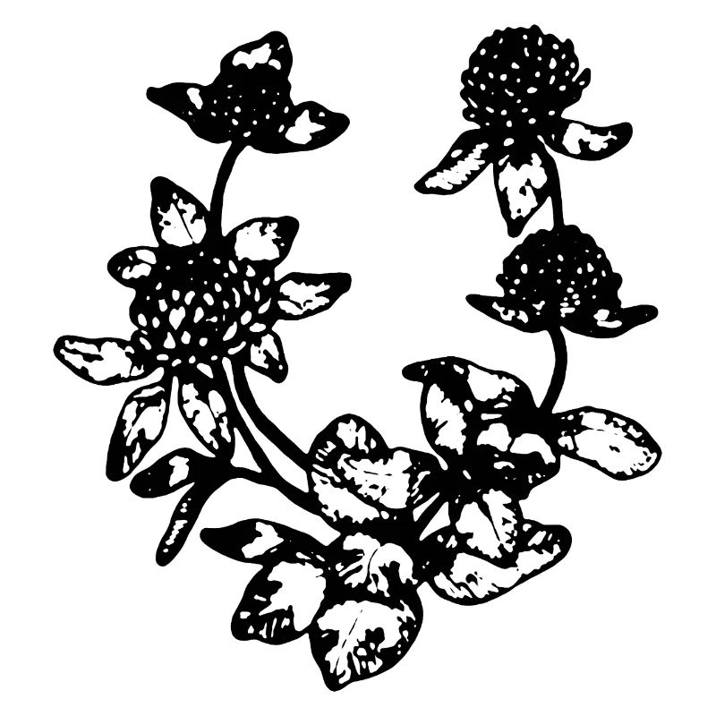 RED CLOVER