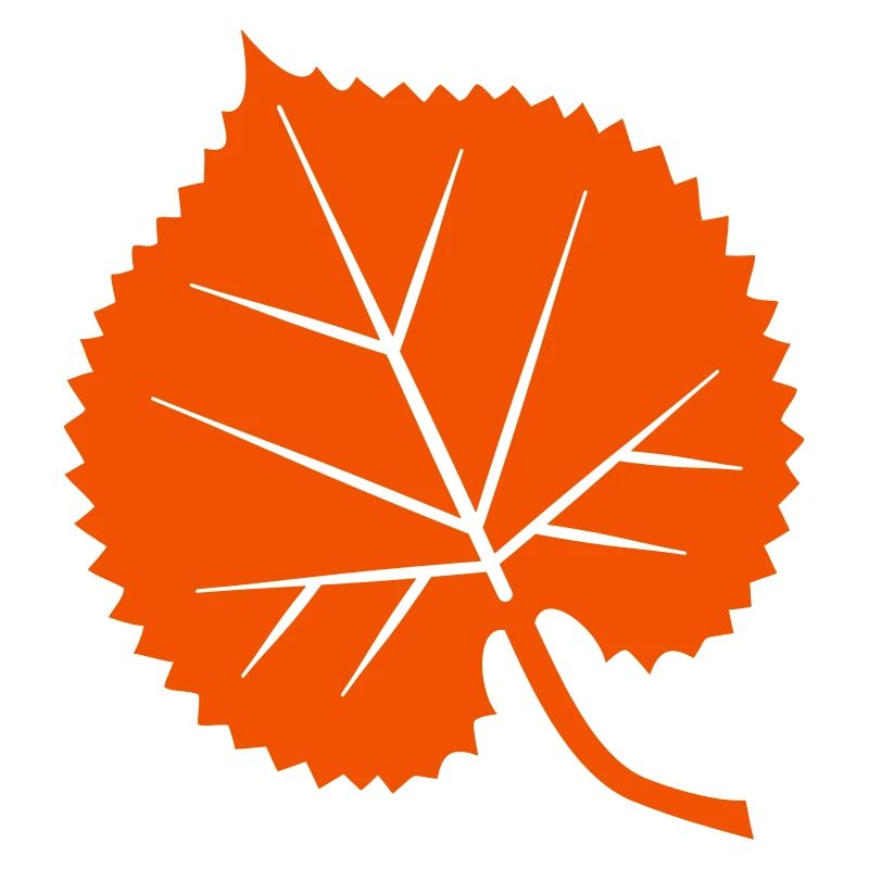 Linden leaf