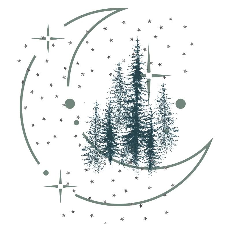 Ciel nocturne au-dessus de la forêt