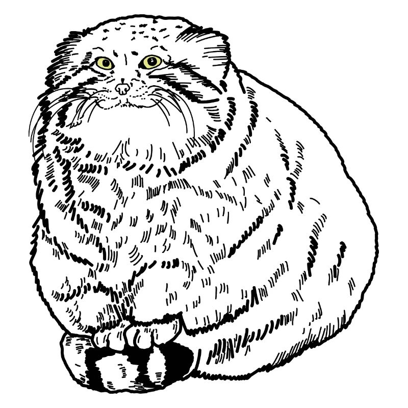 Fat Cat