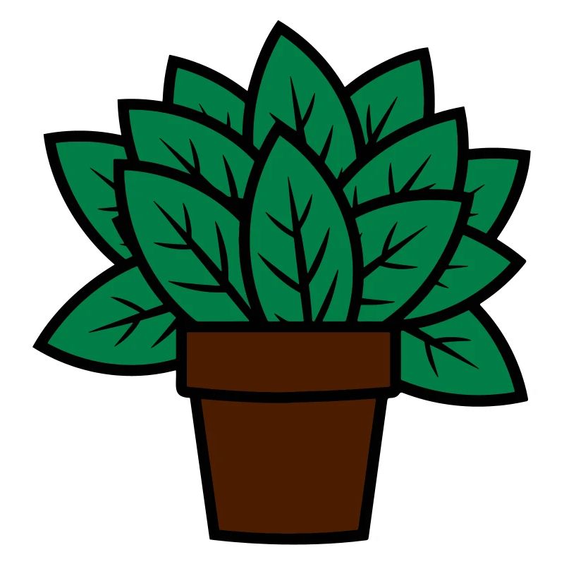 Pflanze Geschenkidee plant gift idea