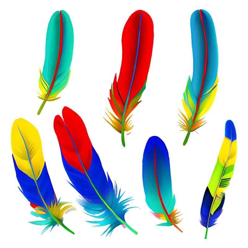 Parrot feathers