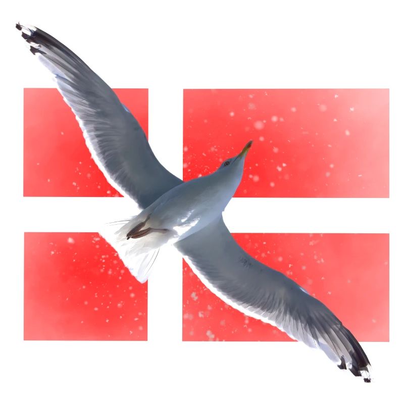 Denmark Seagull Danmark