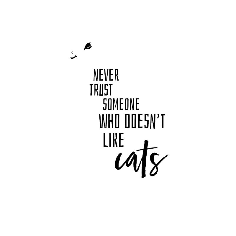 Cat outline