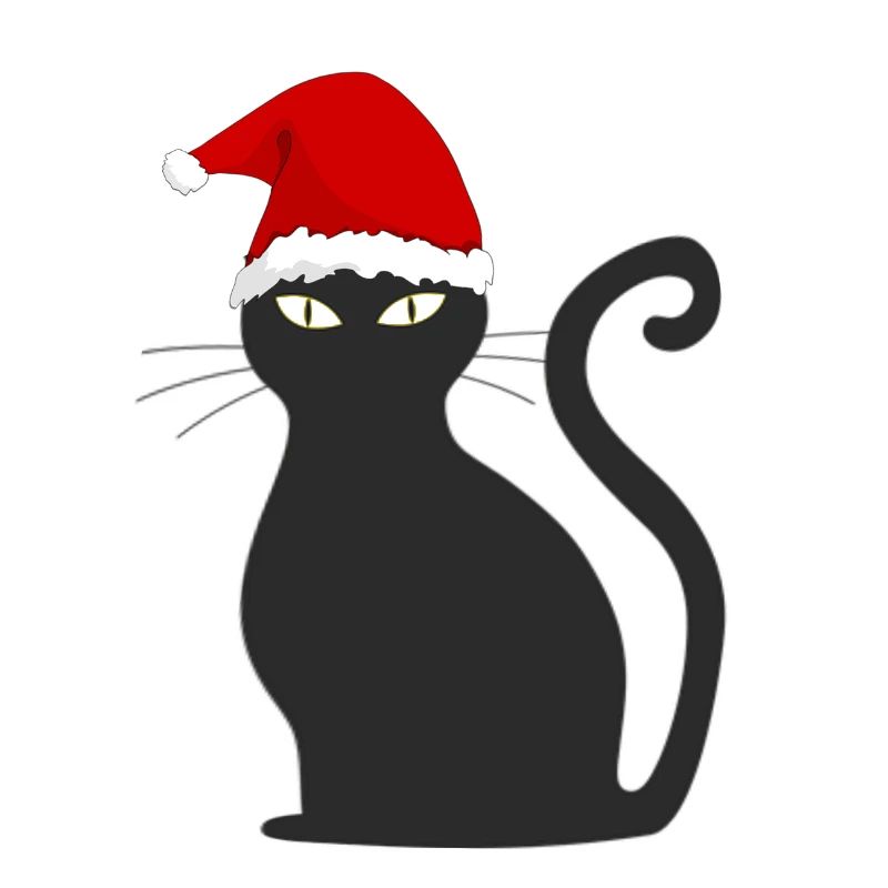 Chat de Noël avec bonnet