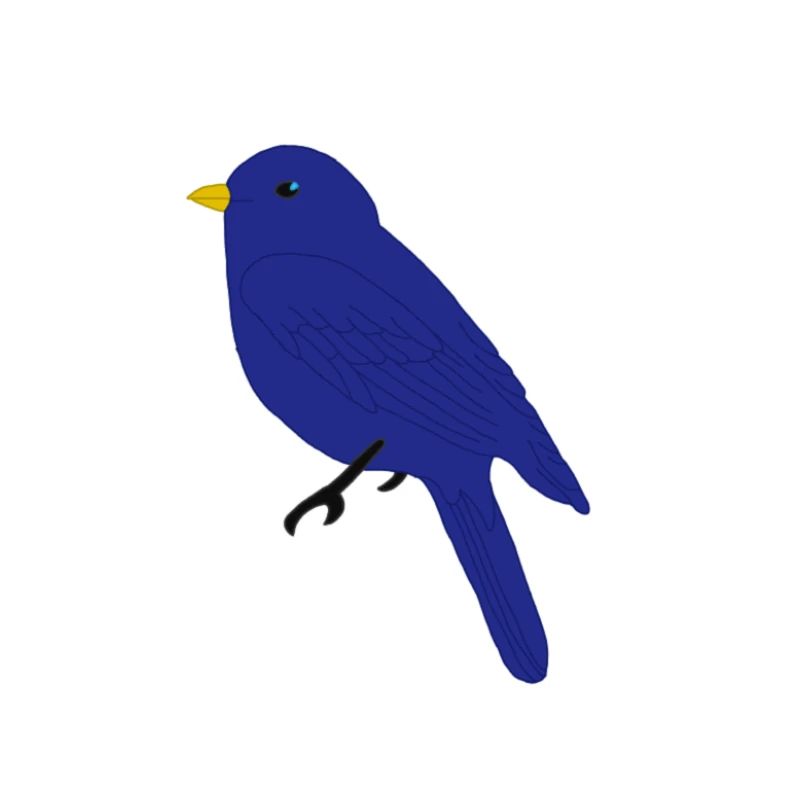 Blauer Vogel