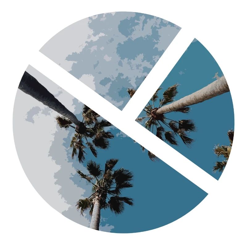 Palm tree