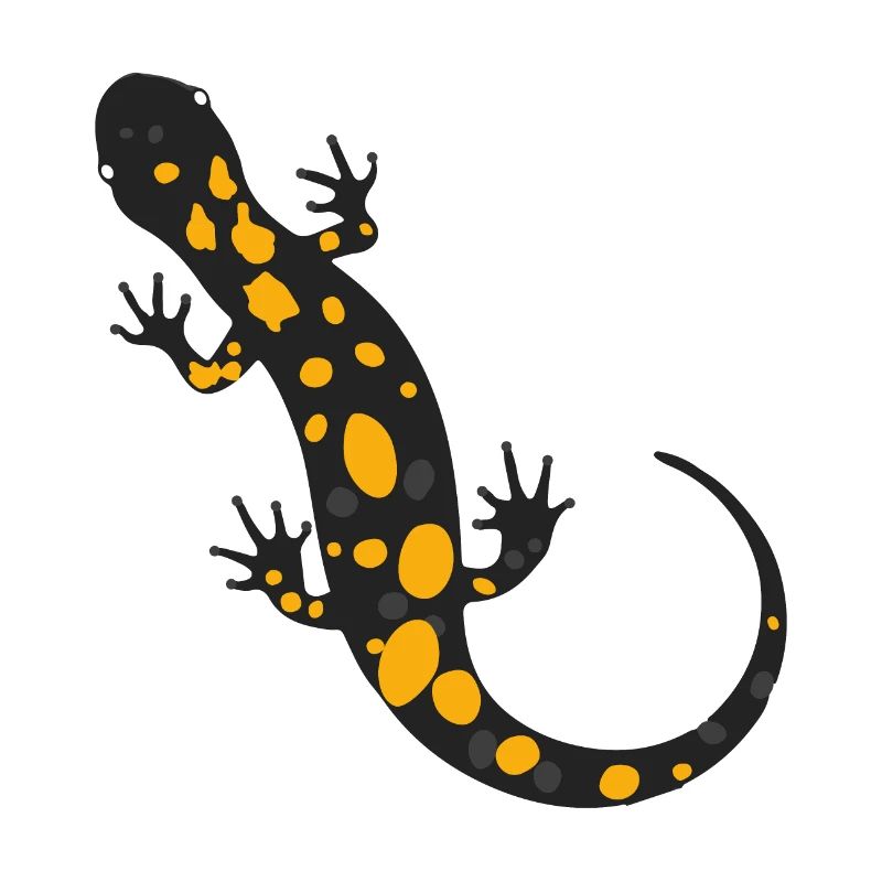 Feuersalamander Tattoo Tiere Kinder Geschenkidee
