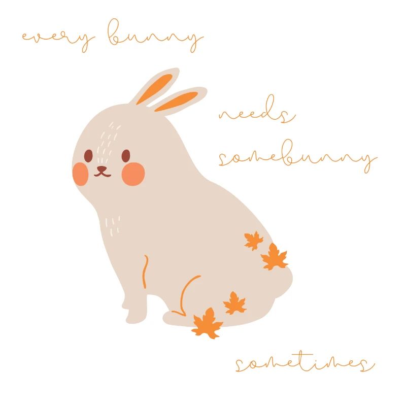 Rabbit Lovers Gift Every Rabbit Needs Somebunny