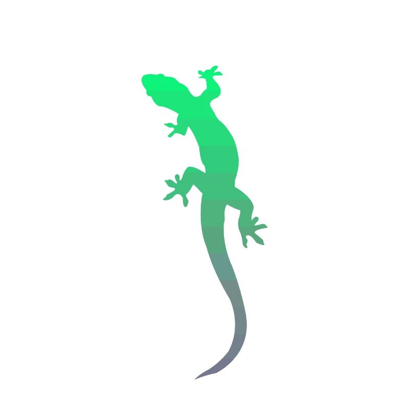 Gecko Salamander Echse