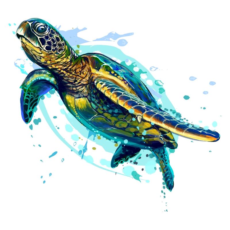 Turtle