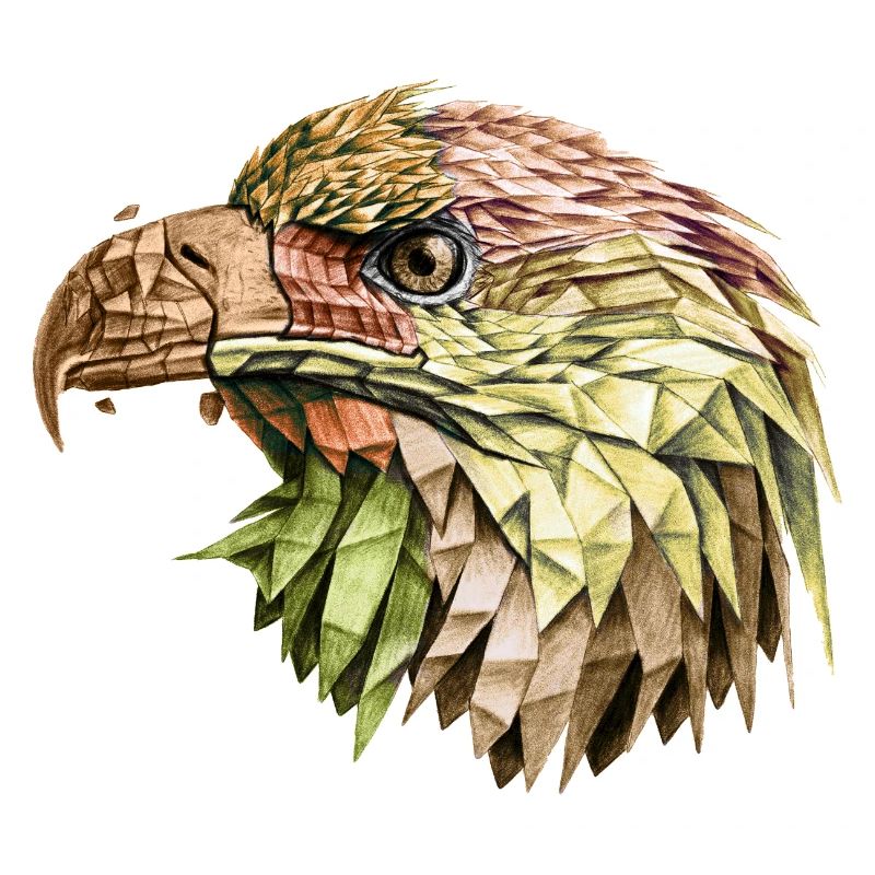 eagle eagle