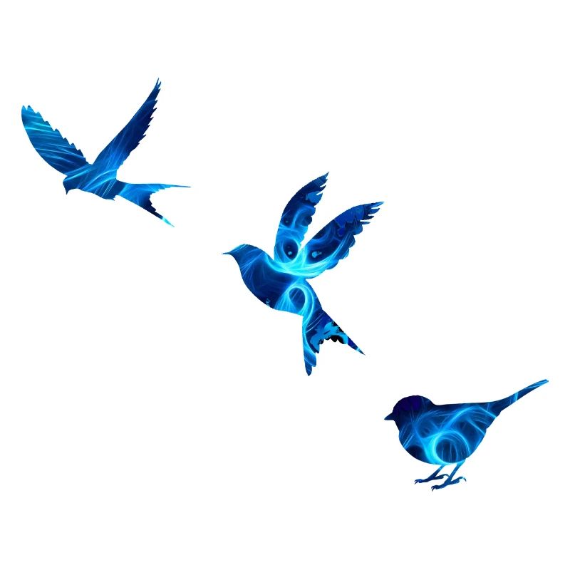 Blue Birds
