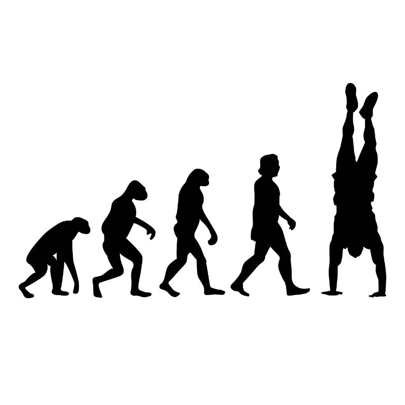 Evolution du renversé