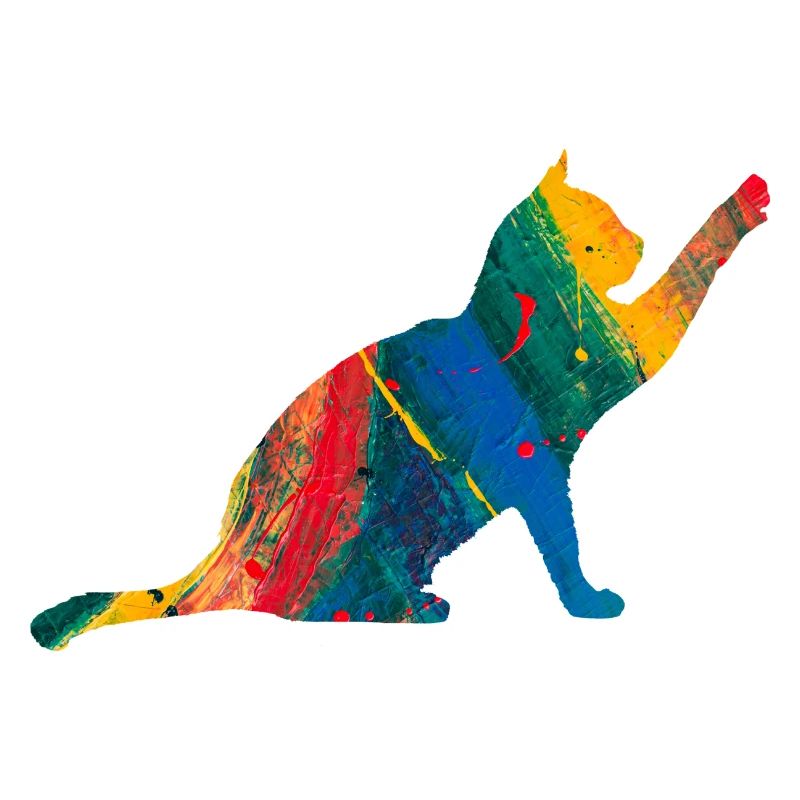 Katze