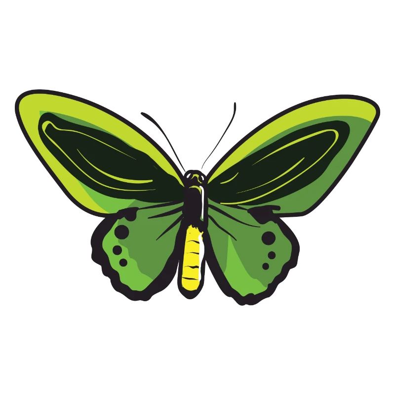 Papillon citron Papillon Papillon papillon