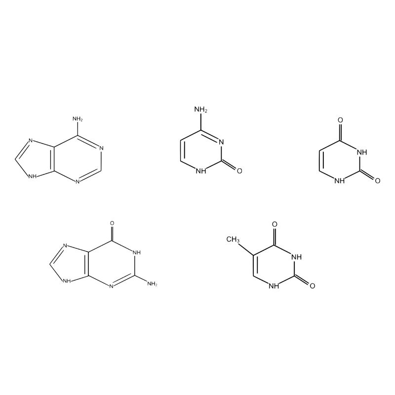 DNA basics