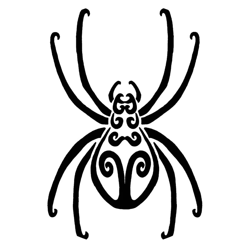 Black Spider