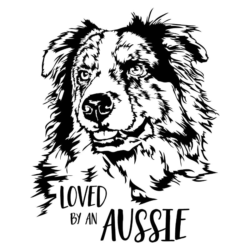 AUSTRALIAN SHEPHERD loved by an Aussie Wilsigns