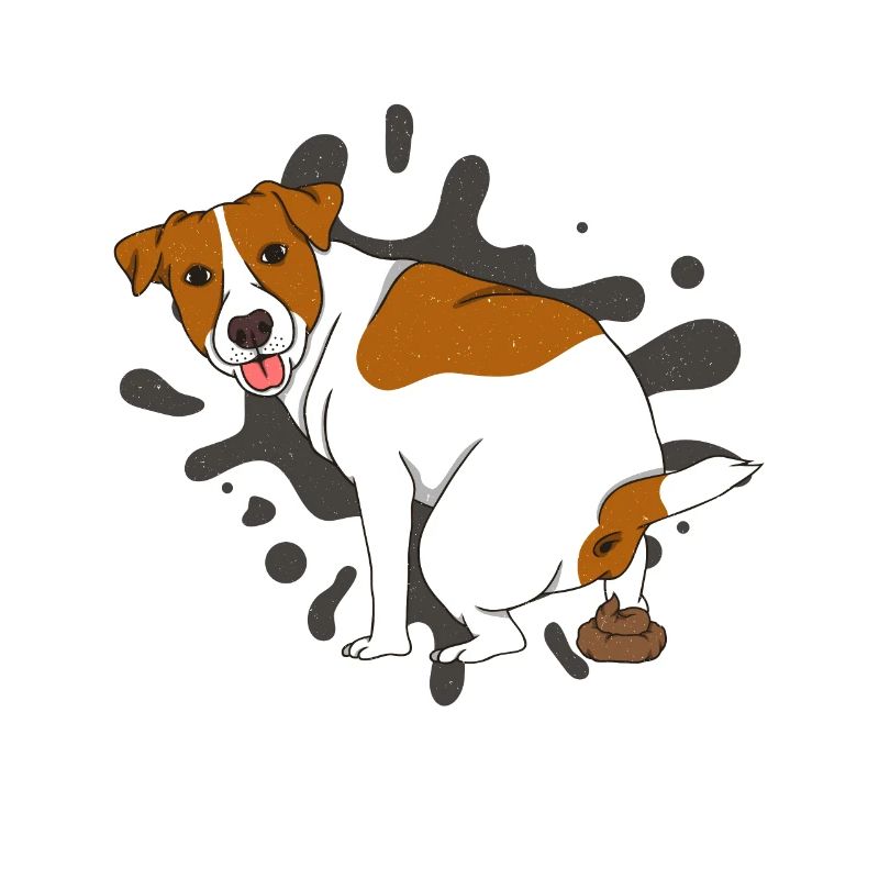 JACK RUSSELL TERRIER caca pile de caca