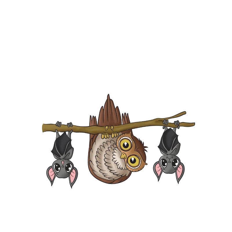 Owl bat