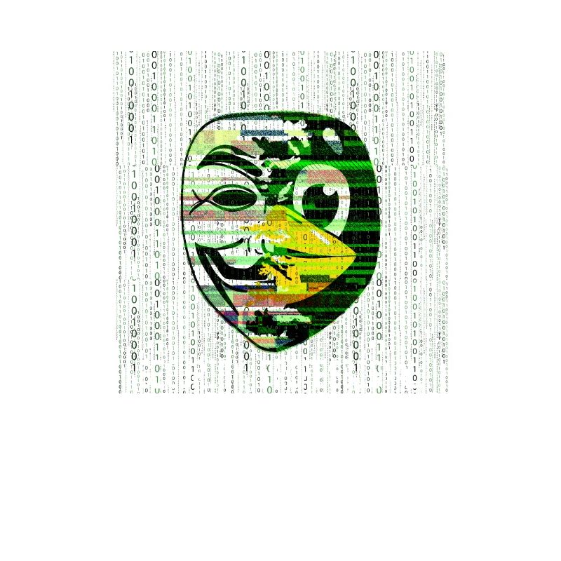 Cyber Security Professional Hacker Maske Linux