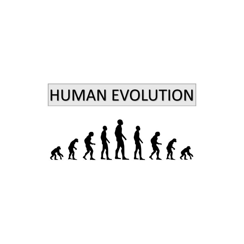 Human Evolution Drôle de design