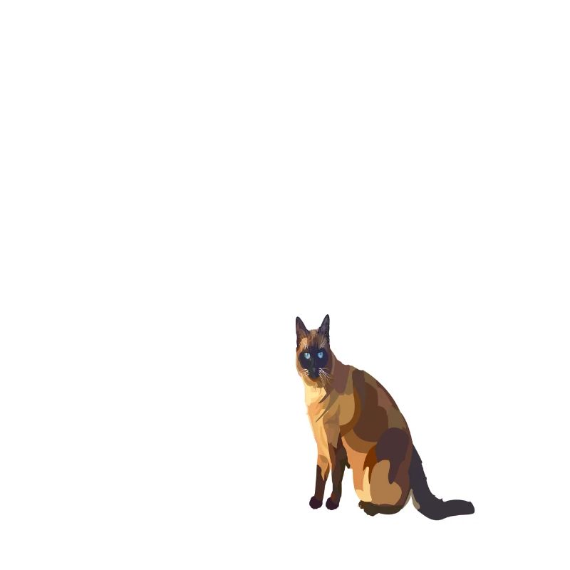 Plus je rencontrais de gens, plus j’aimais mon chat