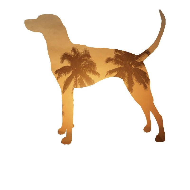 Plage d’été - Redbone Coonhound