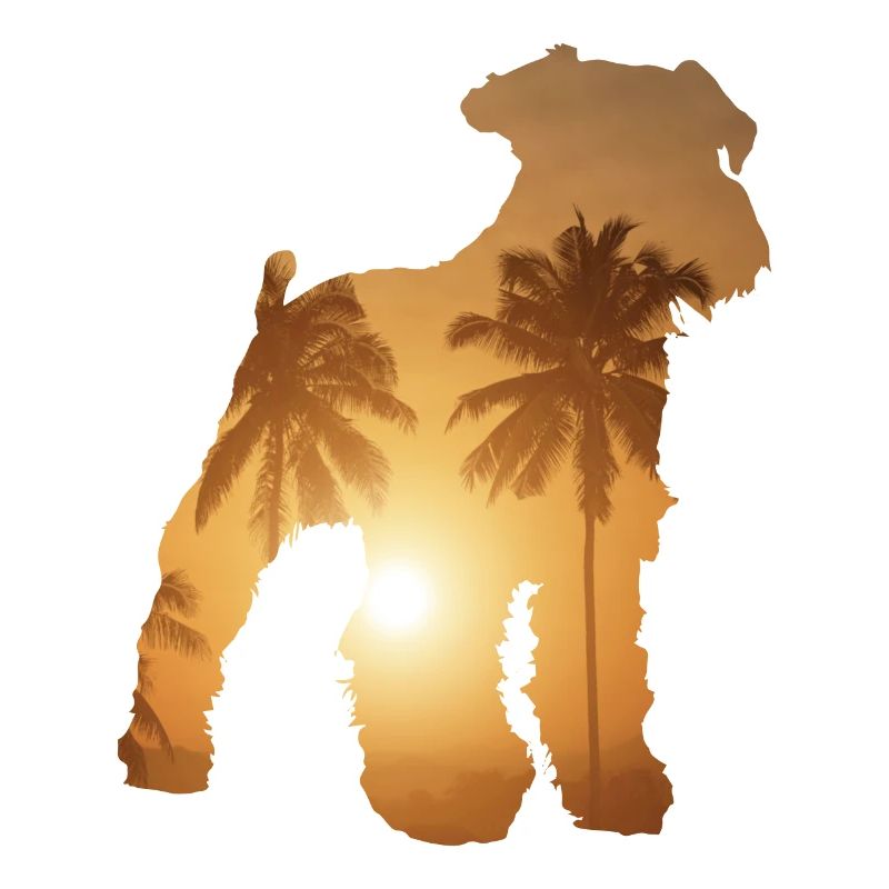 Summer beach - Schnauzer