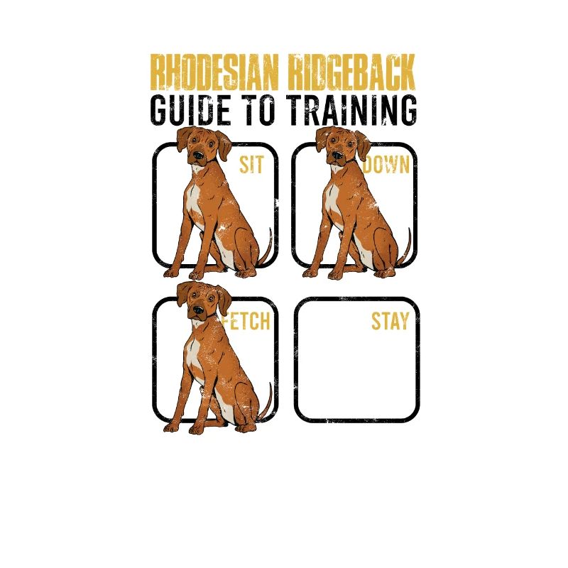 Rhodesian Ridgeback guide de formation asseyez-vous