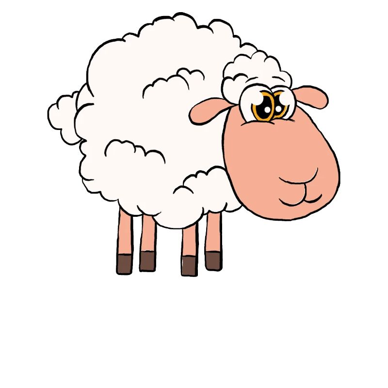 Sheep For All
