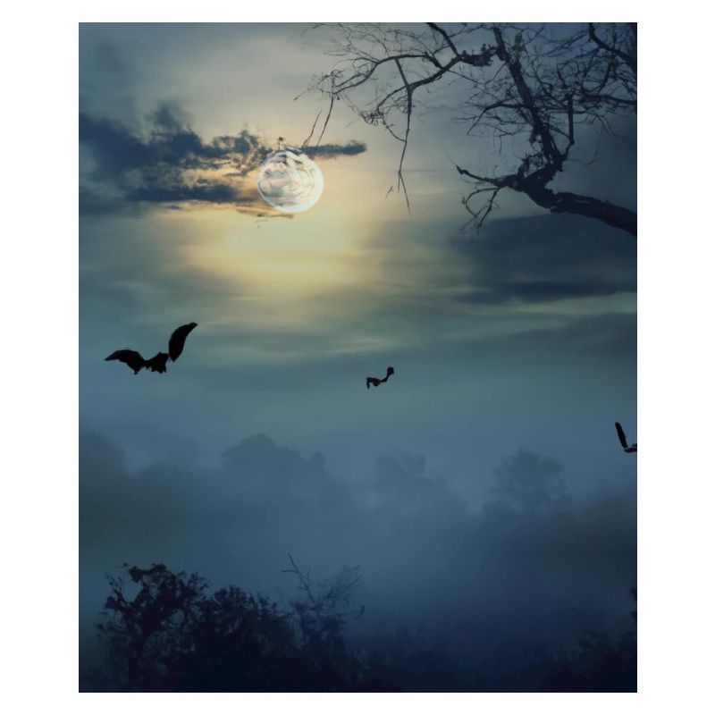 Goth Aesthetics Full Moon and Bats