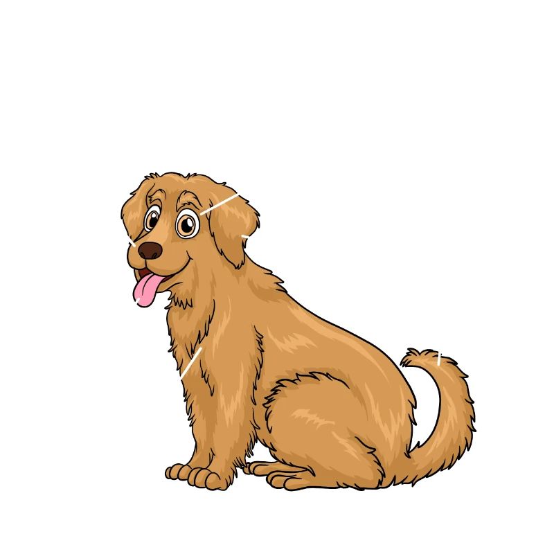 Anatomie eines Golden Retrievers