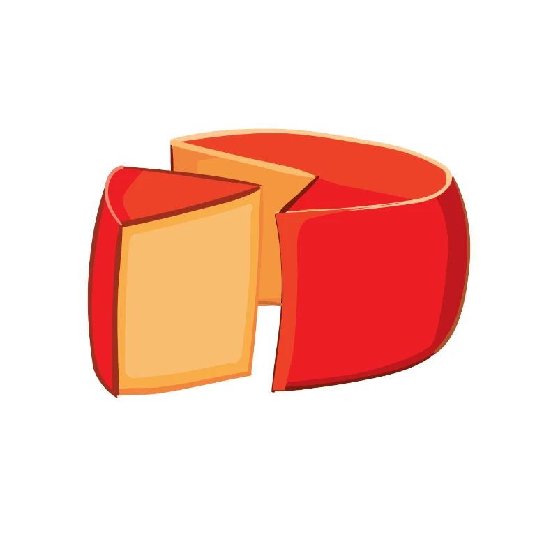 Gouda cheese piece
