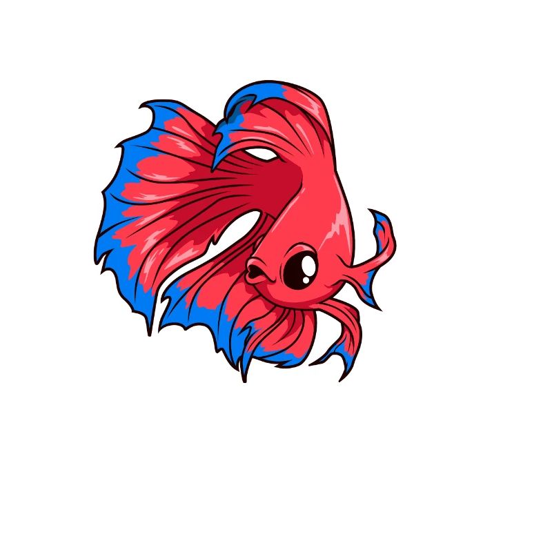 Kawaii Siamese betta
