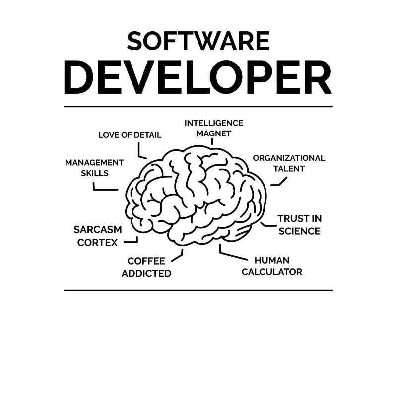 Software Developer